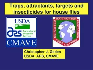 Traps, attractants, targets and insecticides for house flies