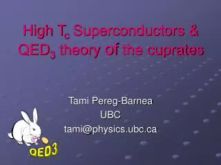 High T c Superconductors &amp; QED 3 theory of the cuprates