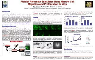 Fibrin Gel Overlay