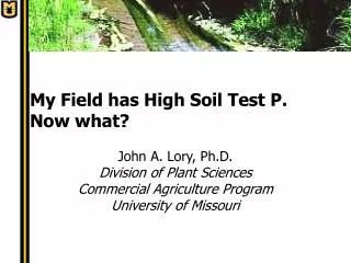 My Field has High Soil Test P. Now what?
