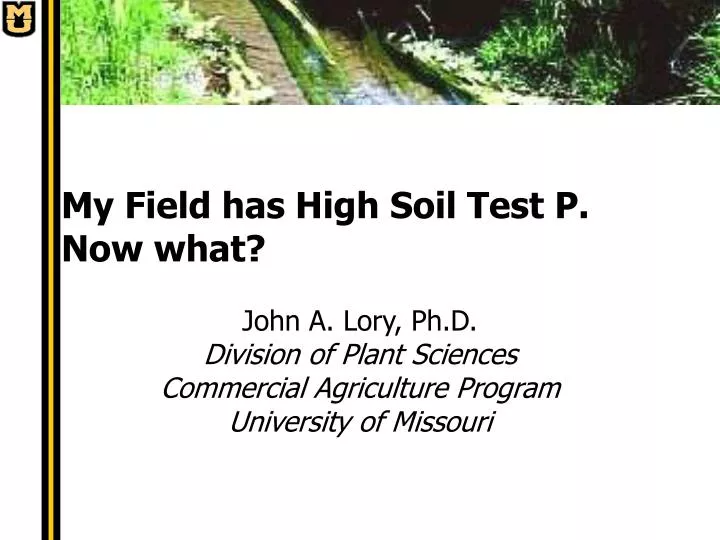 my field has high soil test p now what