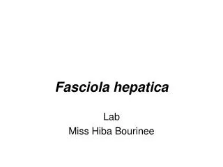 Fasciola hepatica