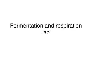 Fermentation and respiration lab