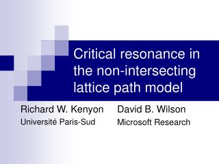 Critical resonance in the non-intersecting lattice path model