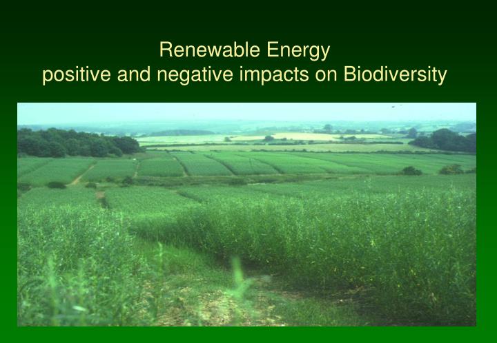 renewable energy positive and negative impacts on biodiversity