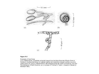 Figure 18.1