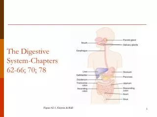 The Digestive System-Chapters 62-66; 70; 78