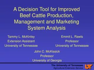 A Decision Tool for Improved Beef Cattle Production, Management and Marketing System Analysis