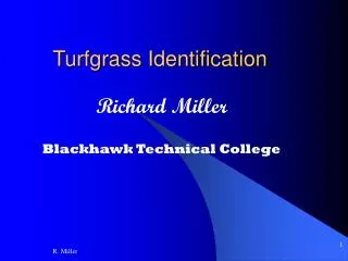 Turfgrass Identification