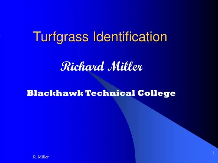 turfgrass identification