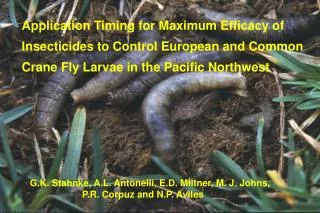 Application Timing for Maximum Efficacy of Insecticides to Control European and Common Crane Fly Larvae in the Pacific