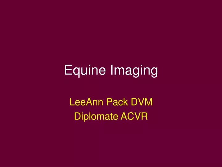 equine imaging