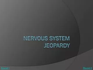 Nervous System Jeopardy