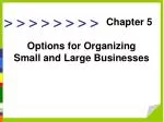 Options for Organizing Small and Large Businesses