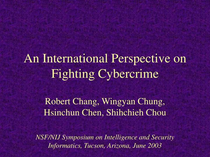 an international perspective on fighting cybercrime