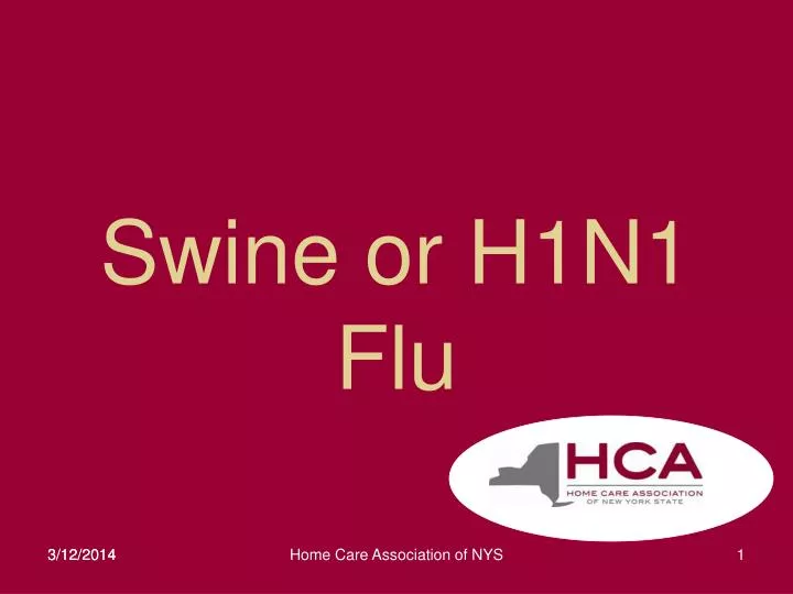 swine or h1n1 flu