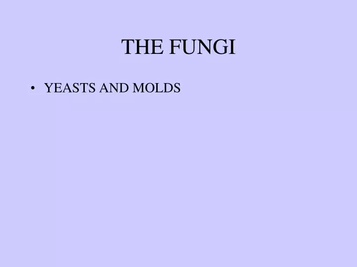 the fungi