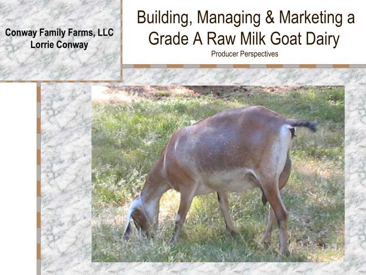 building managing marketing a grade a raw milk goat dairy producer perspectives