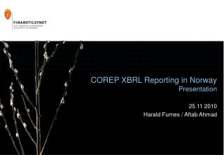 COREP XBRL Reporting in Norway Presentation