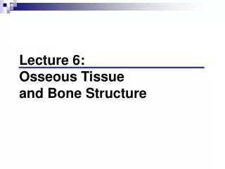 Lecture 6: Osseous Tissue and Bone Structure
