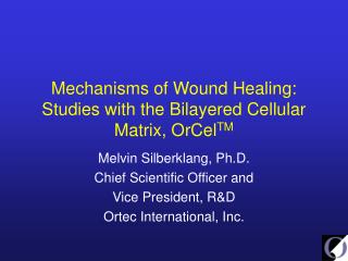 Mechanisms of Wound Healing: Studies with the Bilayered Cellular Matrix, OrCel TM