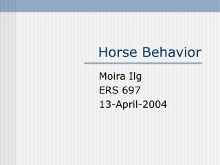 Horse Behavior