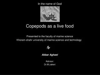 copepoda as a live food