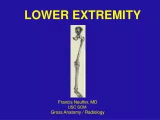LOWER EXTREMITY