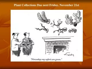 Plant Collections Due next Friday, November 21st