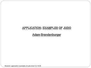 APPLICATION: EXAMPLES OF JUDO Adam Brandenburger