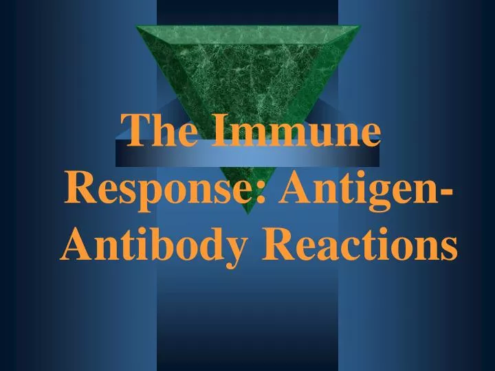 the immune response antigen antibody reactions