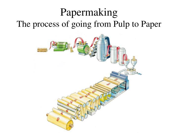papermaking the process of going from pulp to paper