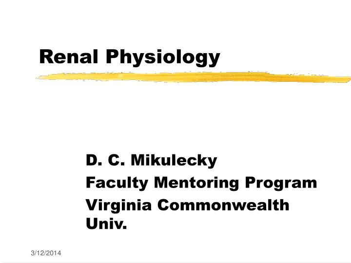 renal physiology