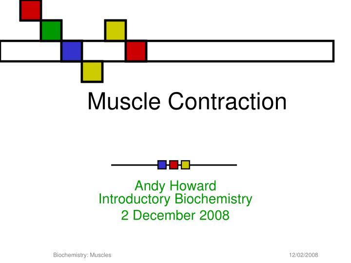 muscle contraction