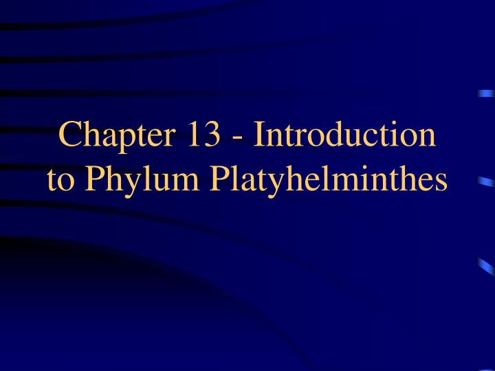 chapter 13 introduction to phylum platyhelminthes