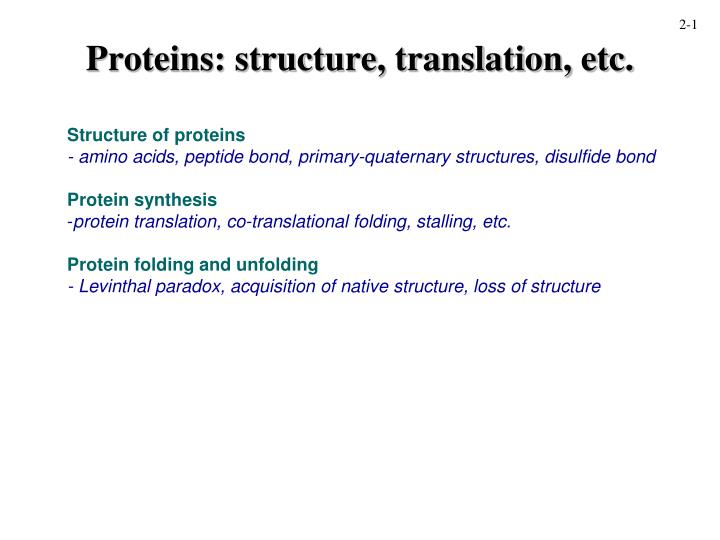 proteins structure translation etc