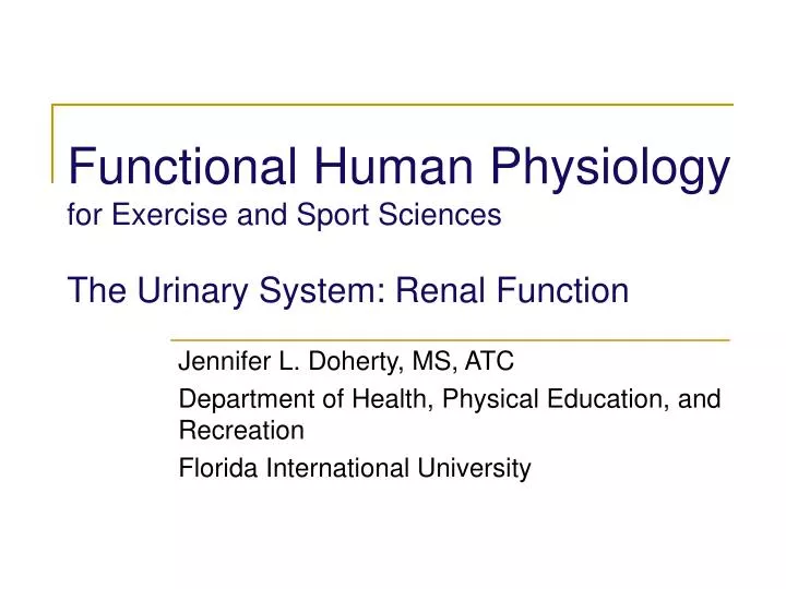 functional human physiology for exercise and sport sciences the urinary system renal function