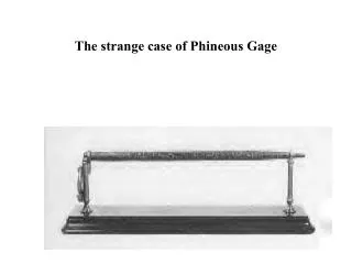 The strange case of Phineous Gage