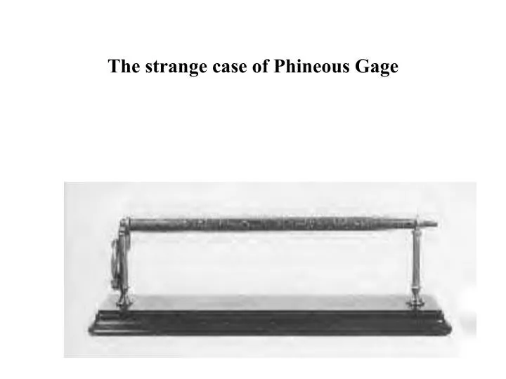 the strange case of phineous gage