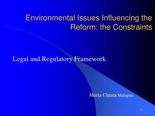 Environmental Issues Influencing the Reform: the Constraints