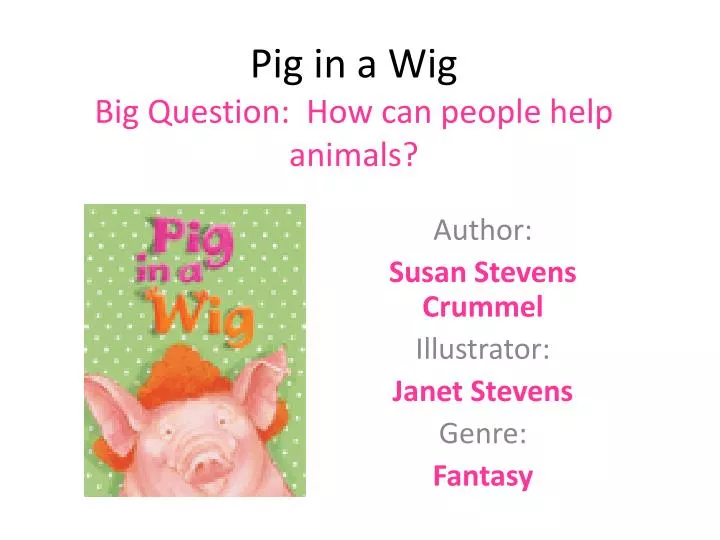 pig in a wig big question how can people help animals