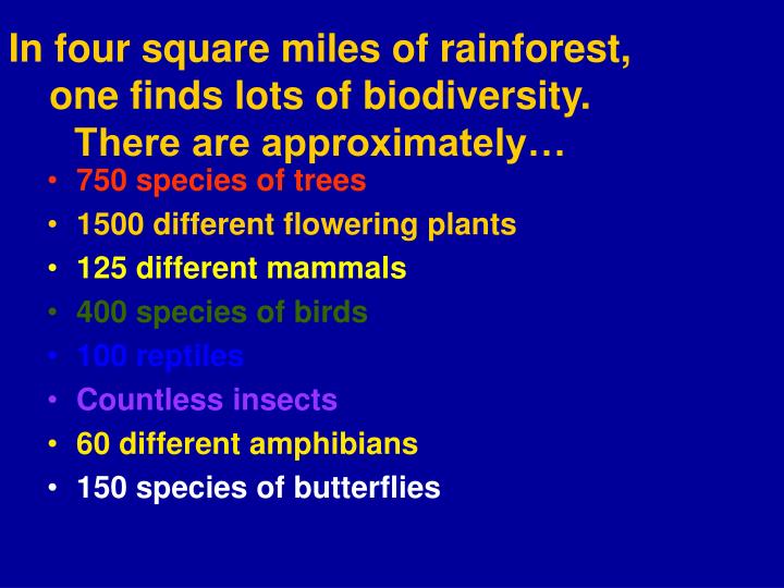 in four square miles of rainforest one finds lots of biodiversity there are approximately