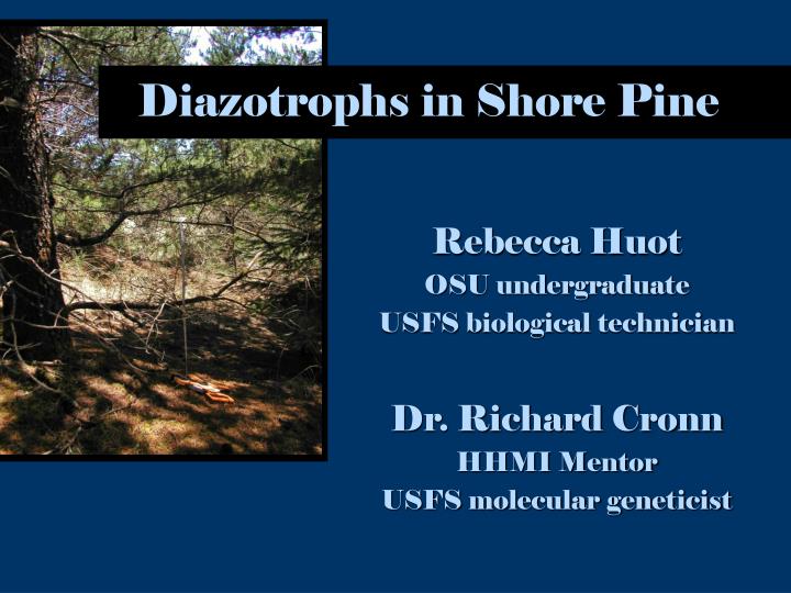 diazotrophs in shore pine