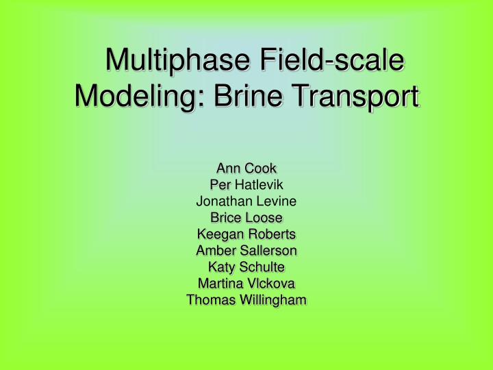 multiphase field scale modeling brine transport