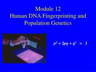 Module 12 Human DNA Fingerprinting and Population Genetics