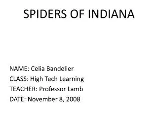 SPIDERS OF INDIANA