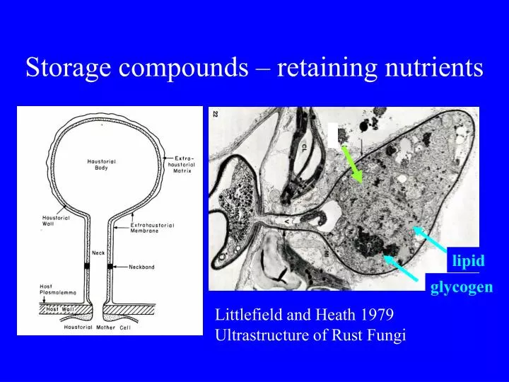 storage compounds retaining nutrients