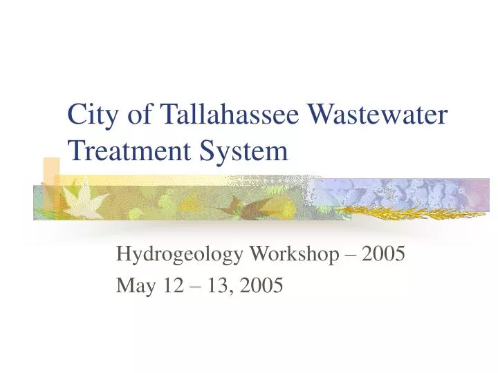 city of tallahassee wastewater treatment system
