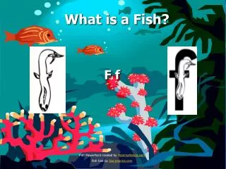 What is a Fish?