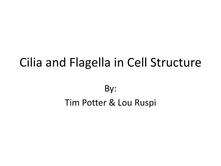cilia and flagella in cell structure